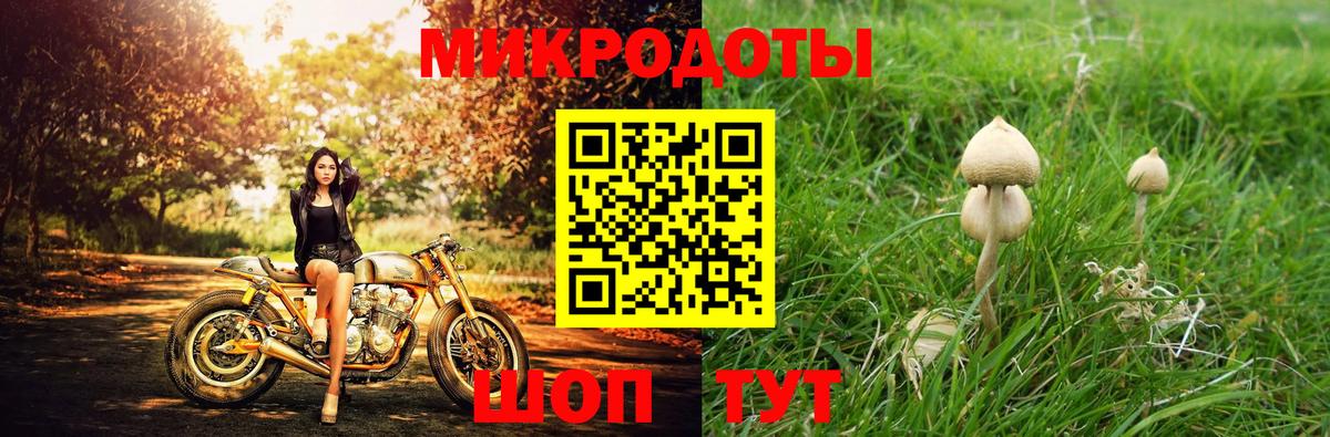 Псилоцибиновые грибы Magic Shrooms  Вход с VPN  Лыткарино 