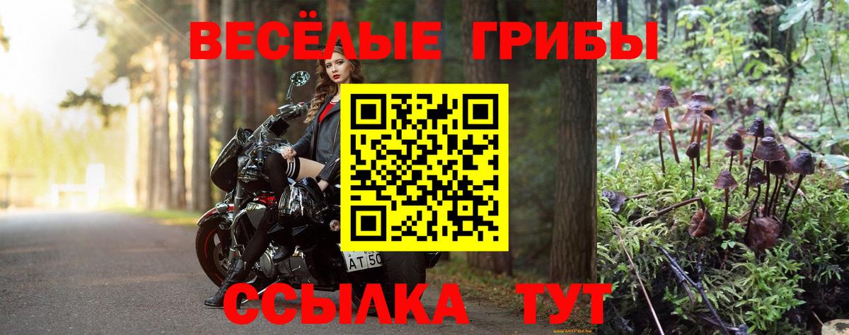 Псилоцибиновые грибы прущие грибы Лыткарино